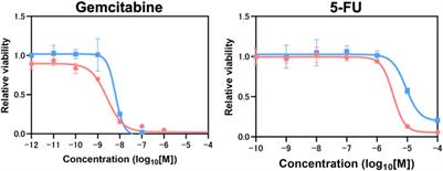 Hypoxia at 3D organoid establishment selects essential subclones within heterogenous pancreatic cancer